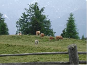 Agroturismo Straganzhof