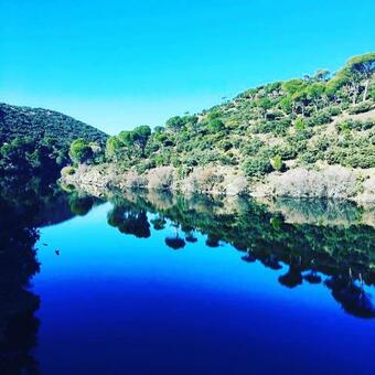 Renacer De Los Sentidos