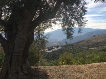 Apartamento Jardin Andaluz Veleta