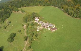 Apartment Filfing II