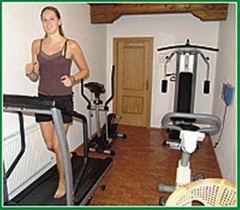 Hostal Landgasthof Diendorfer