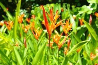 Best Western Hexagon International Hotel, Villas & Spa