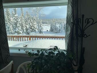 Bed & Breakfast Copperville B & B