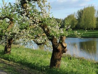 Holiday Home Abtsbouwing