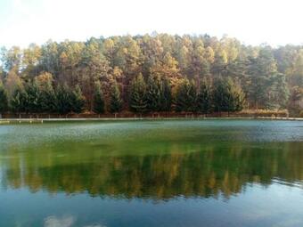 Hostal Vl?� D?l Bludov