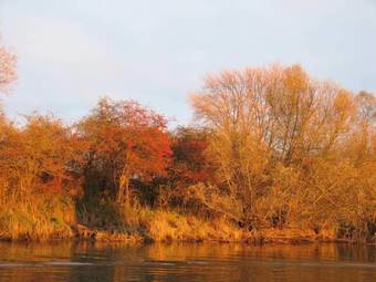Albergue Bed And Breakfast De Biesbosch - In 't Riet