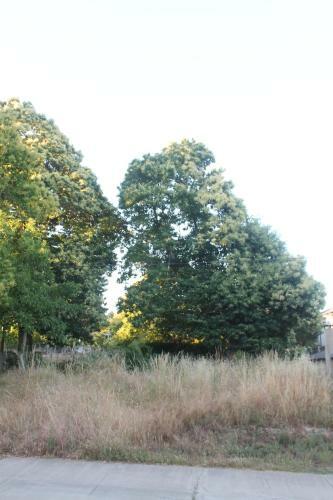 Casa La Devesa De Sanabria
