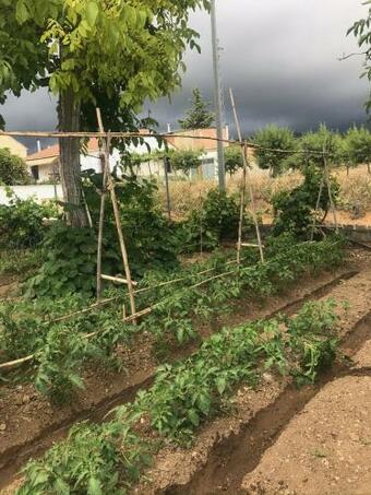 Bed & Breakfast Carmen