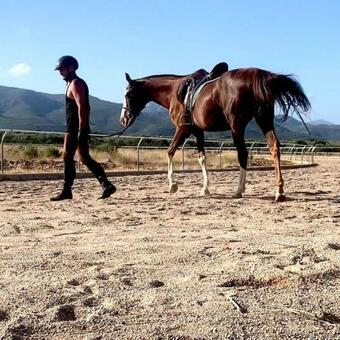 Vivienda Rural Moli Hospital De Categoria Superior