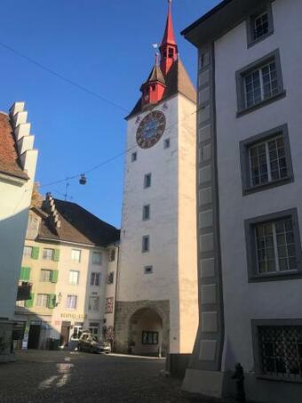 Private Apartment 20 Min To Zurich