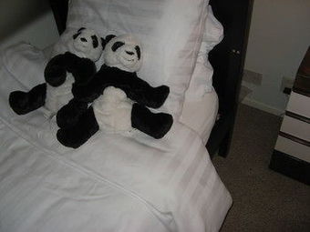 Bed And Breakfast Mill View