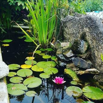 Aldea Cristimil -san Amaro