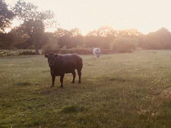 Bed & Breakfast Gasterij Het Marum