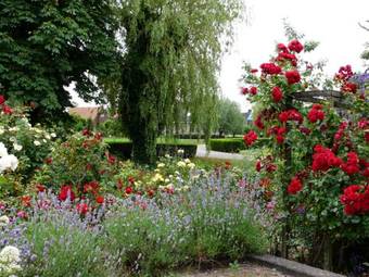 Bed & Breakfast De Boomgaard Groene Hart