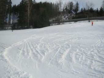 Apartm�ny Pod Bozkovem