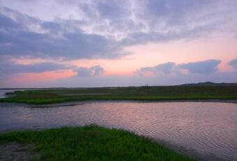 Villa Droompark Bad Hoophuizen 3