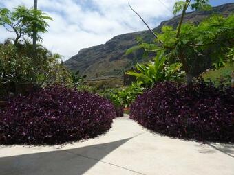 El Susurro Ecoliving Villa Guincho