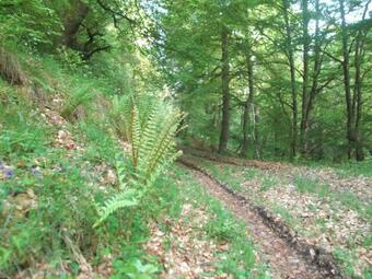 Agroturismo Apartamento San Mam�s