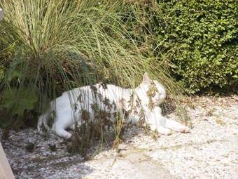 Barbara B&B Landgoed Rijckholt
