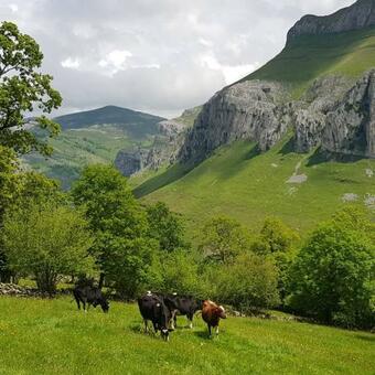 Apartamento La Caba�a Mar�a