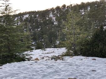 Afames House - Beautiful Traditional House