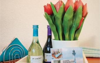 Holiday Home Egmond Aan Zee