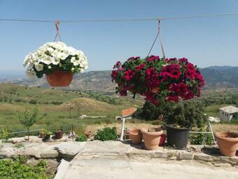 Bed & Breakfast Georgia's House