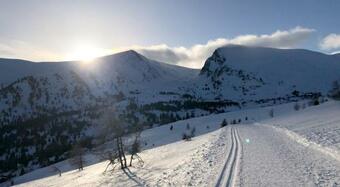 Chalet Rotfuchs Heidialm Falkertsee K�rnten