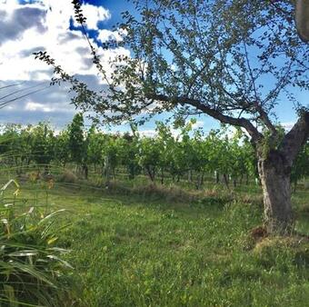 Apartamento Altes Presshaus