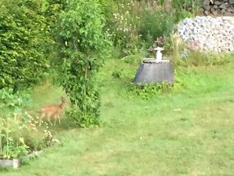 Apartamento Ferienwohnung Uhlig