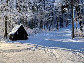 Apartamento Haus Donnerberg Rehefeld