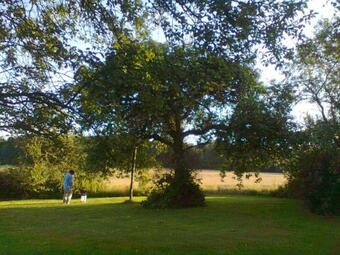 G�te Banet-sart � Daverdisse