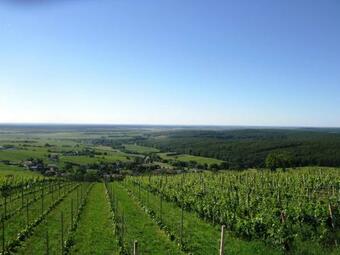 Ferienwohnung Rossmann Szapary II