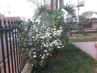 Apartamento Monoambiente Con Balc�n