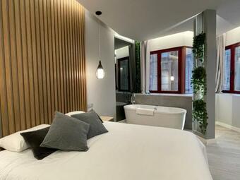 Apartamento Miluisuites Loft And Spa Catedral.