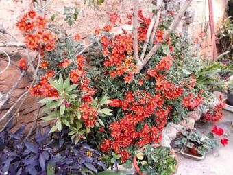 Apartamento Studio In Sieso De Huesca With Wonderful Mountain View And Furnished Terrace