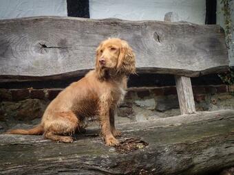 Lo-ghis Vakantiewoning