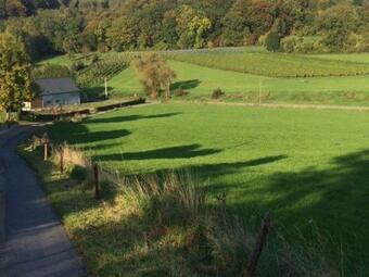 Bed & Breakfast Wijndomein Zwaeneberg