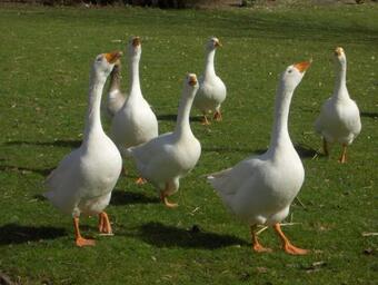 Apartamento Appartement In Service Residentie