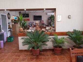 Hostal ???????? ?? ????????? The Wolf