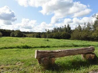 Cozy Holiday Home In Hollandscheveld With Forest Nearby