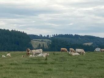 Apartm�ny F - Chata Svobod?nka