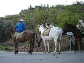 Agroturismo Los Bellidos De Alcandora