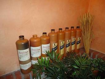 Hotel De Vrouwe Van Stavoren