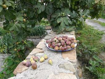 Agroturismo Las Azadas