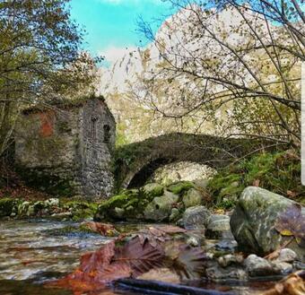Apartamentos La Arandanera
