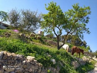 Apartamento Casa Con Vistas, Piscina Y Animales De Granja, La Caseta