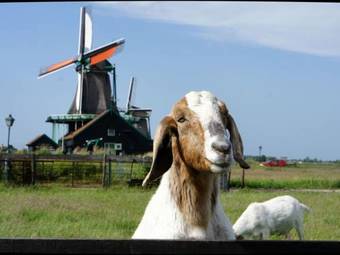 Villa Villapark De Rijp I