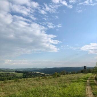 Bed & Breakfast Modryna Ranczo