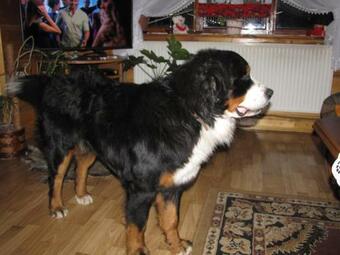 Gospodarstwo Agroturystyczne U Ani